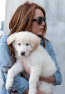 Puppy Love: Miley and Mate - hard to tell who's happier