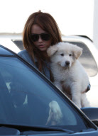 Puppy Love: Miley and Mate - hard to tell who's happier