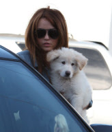 Puppy Love: Miley and Mate - hard to tell who's happier