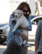 Puppy Love: Miley and Mate - hard to tell who's happier