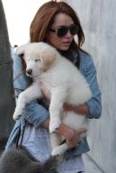 Puppy Love: Miley and Mate - hard to tell who's happier