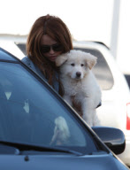 Puppy Love: Miley and Mate - hard to tell who's happier