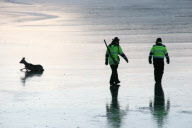 Deer rescue from frozen lake, Sirdal Lake, Norway - Jan 2010