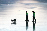 Deer rescue from frozen lake, Sirdal Lake, Norway - Jan 2010