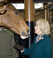 Camilla, Duchess of Cornwall visits The King's Troop Royal Horse Artillery at St. John's Wood Barracks, London, Britain - 28 Jan 2010