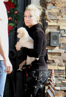 Ashley Tisdale leaves her  house with her boyfriend Scott Spear and her dog Maui, Toluca Lake, Los Angeles, America - 19 Dec 2009