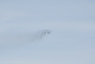 Thomas Cook Boeing 757 fuel leak, Caselle airport, Turin, Italy - 21 Feb 2010