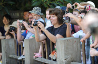 New baby elephant is star attraction at Melbourne Zoo, Australia - 18 Feb 2010