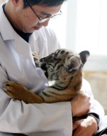 #(2)CHINA-JIANGSU-LITTLE TIGER  (CN)
