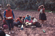 LUNCH BREAK, FIELD WORKER, UMASBAMBA, CUZCO, PERU