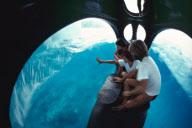 AQUASCOPE, INSIGHT INTO THE UNDERWATER WORLD, LES SAINTES ISLAND, ISLAND GOUADELOUPE, CARIBBEAN