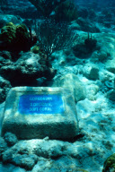 BUCK ISLAND, ST. CROIX, US VIRGIN ISLANDS, CARIBBEAN