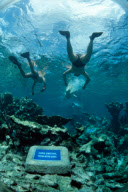 BUCK ISLAND, ST. CROIX, US VIRGIN ISLANDS, CARIBBEAN