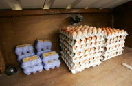 Farmer sets up cameras in 'honesty' shop after egg thefts, Norwich, Britain - 28 Feb 2010
