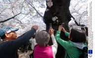 JAPAN Tokyo