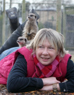 Orphaned Meerkats Thrive After Being Raised on an Aga, Axe Valley Bird & Animal Park, Devon, Britain - 22 Feb 2010