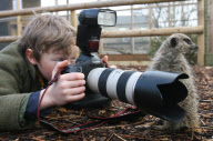 Orphaned Meerkats Thrive After Being Raised on an Aga, Axe Valley Bird & Animal Park, Devon, Britain - 22 Feb 2010