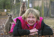 Orphaned Meerkats Thrive After Being Raised on an Aga, Axe Valley Bird & Animal Park, Devon, Britain - 22 Feb 2010
