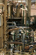 Brazil Biofuel Industry 