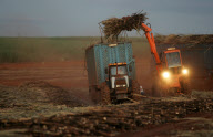 Brazil Biofuel Industry 
