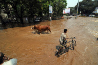 Major pipeline bursts lose millions of litres of water in Mumbai, India - 25 Mar 2010