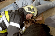 gas explosion in a school