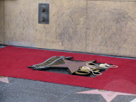 Celebrity hotspots in Los Angeles