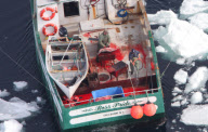 Canadian Annual Seal Hunt, Northern Gulf of St Lawrence, Canada - 09 Apr 2010