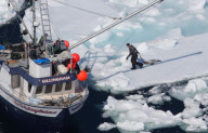 Canadian Annual Seal Hunt, Northern Gulf of St Lawrence, Canada - 09 Apr 2010