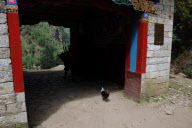 Nepal - 2010