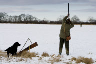 A pheasant shoot on the Little Dalby Estate, Leicestershire, Britain - 2010
