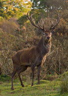 Scotland, Britain - 2009