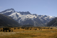 New Zealand - Mar 2010