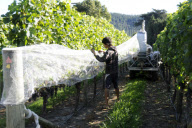 New Zealand - Mar 2010