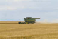 CANADA Magrath