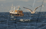 Prawn Fishing in the North Sea, Britain - 23 Dec 2009