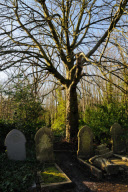 Highgate Cemetery, North London, Britain - 03 Jan 2010