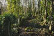 Highgate Cemetery, North London, Britain - 03 Jan 2010