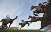 Racing at Newbury, Newbury, Britain - 27 Nov 2009