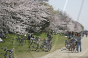 Japan - 2009