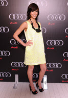 Super Bowl XLIV Miami - Audi Cocktail Reception at W South Beach, Miami, Florida, America - 05 Feb 2010