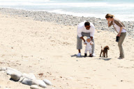 Chris, Ellen, and little Luna Stella soak up the sun asthey walk on the beach in sunny Malibu!!! The family trio, Chris, Ellen, and smiling Stella enjoyed a scenic California coast stroll together with their dogs. 