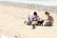 Chris, Ellen, and little Luna Stella soak up the sun asthey walk on the beach in sunny Malibu!!! The family trio, Chris, Ellen, and smiling Stella enjoyed a scenic California coast stroll together with their dogs. 