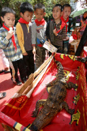 Food stand sells BBQ crocodile meat skewers, Kunming, Yunnan province, China - 22 Apr 2010