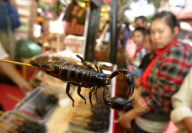 Food stand sells BBQ crocodile meat skewers, Kunming, Yunnan province, China - 22 Apr 2010