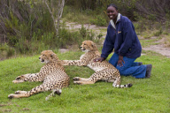 Cape Province, South Africa