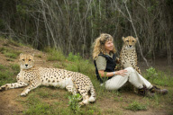 Cape Province, South Africa