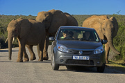 Cape Province, South Africa
