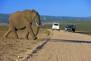 Cape Province, South Africa