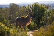 Cape Province, South Africa